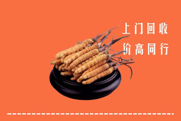 新余回收冬虫夏草