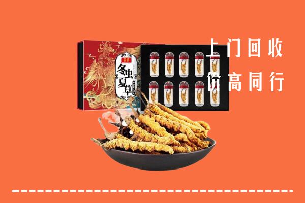 新余回收虫草